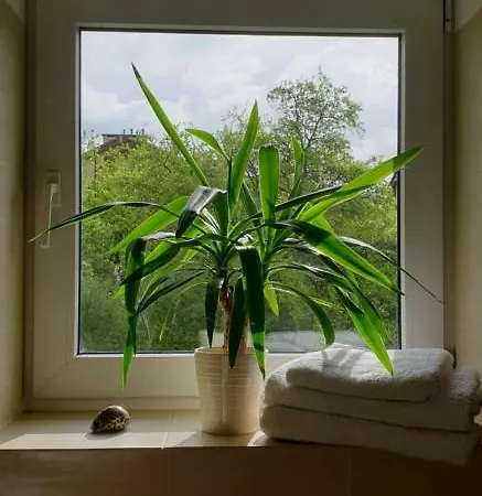 Apartament Magnolia