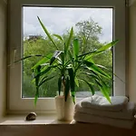 Apartament Magnolia