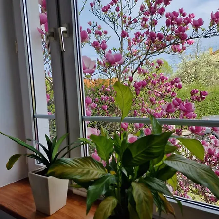 Apartament Magnolia Zoppot