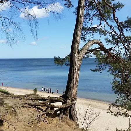 Apartament Magnolia Apartment *