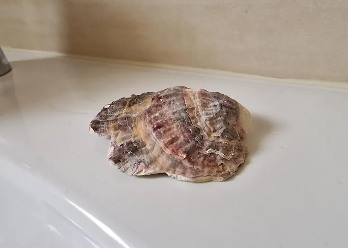 Appartamento Magnolia *