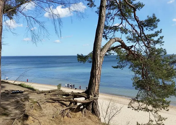 Magnolia Appartamento *